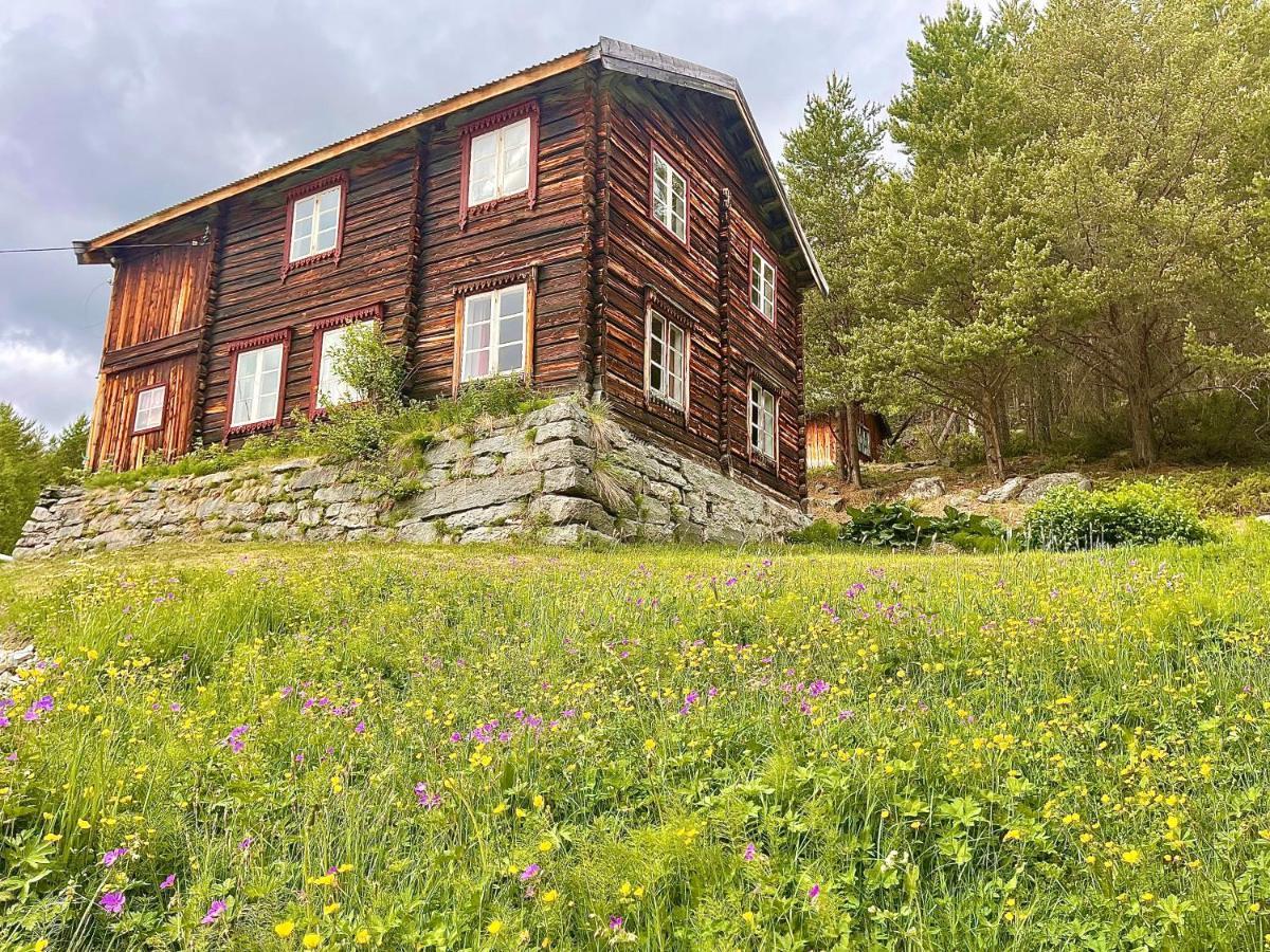 Reinheimen Lodge Skjåk المظهر الخارجي الصورة